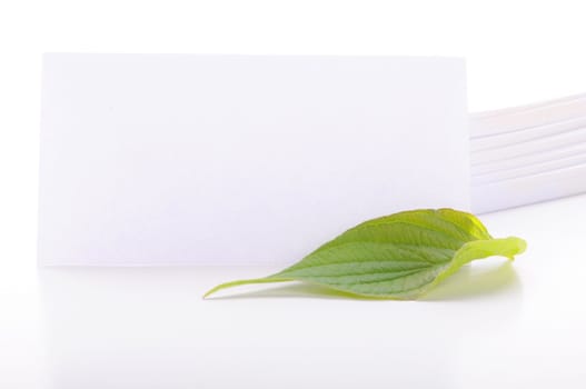 paper card with copyspace and green summer leaf
