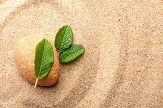 zen stone garden and leaf on sand showing spa concept