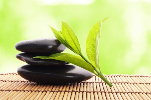 spa still life with zen stone and green leaf