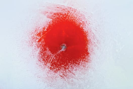 Tomato frozen in ice cube, isolated on white background