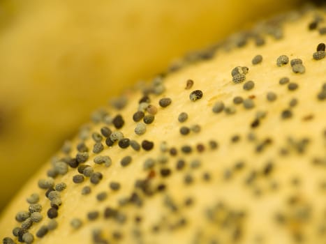 Extreme closeup of the seeds on a bun