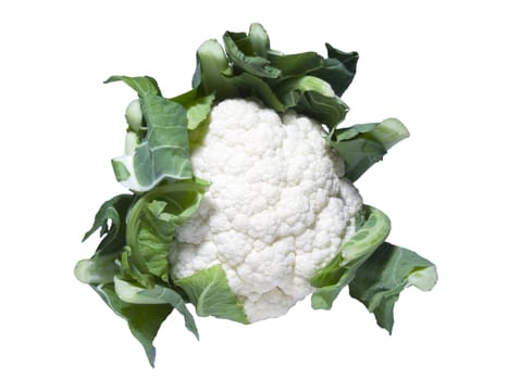 Cauliflower on a white background