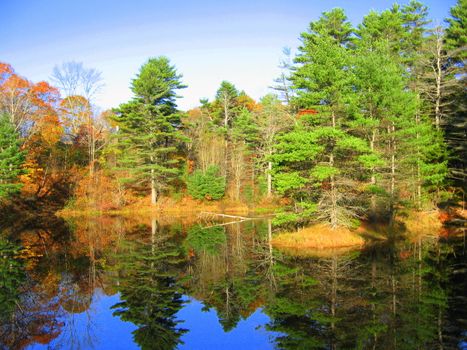 reflections of Autumn trees on a rural pond