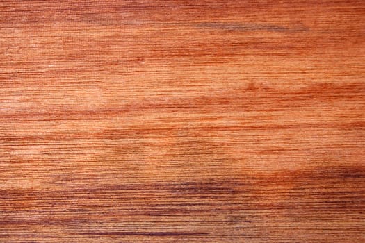 Close-up of the texture of a wood, useful in design as background.