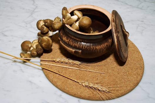 Mushrooms, ears and a pot on a marble table