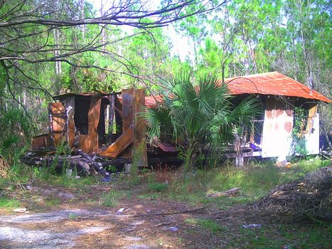 This firegutted house is inside a forest.