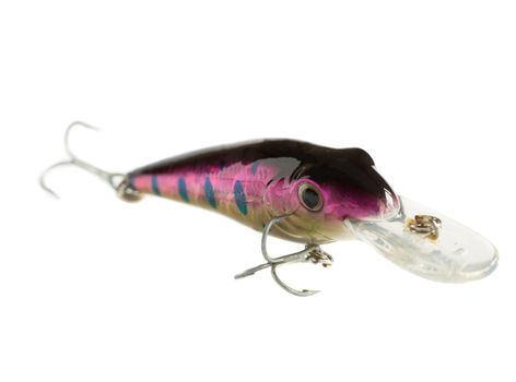 Shiny lure used as bait for predator fish