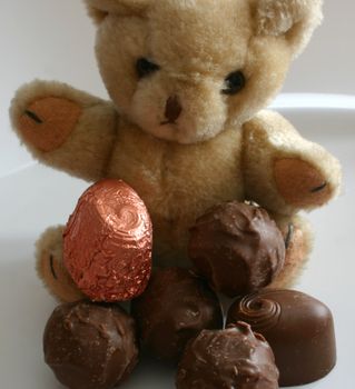 teddy with his chocolate favourites