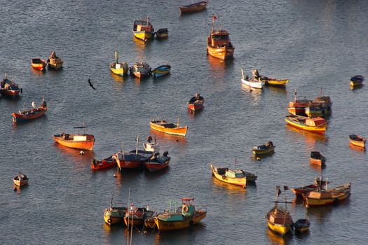 Fishing boats in Arica harbor, Chile, Pacific Ocean