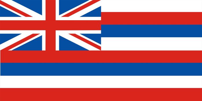 Very large 2d illustration of Hawaii flag
