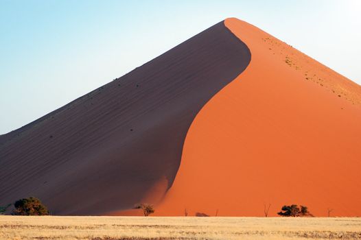 Red dune in the Namib Desert, Sossusvlei, Namibia