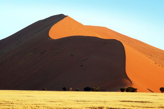 Red dune in the Namib Desert, Sossusvlei, Namibia