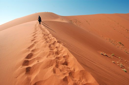 Red dune in the Namib Desert, Sossusvlei, Namibia