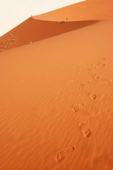 Dune in the Namib Desert, Sossusvlei, Namibia
