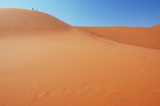 Dune in the Namib Desert, Sossusvlei, Namibia