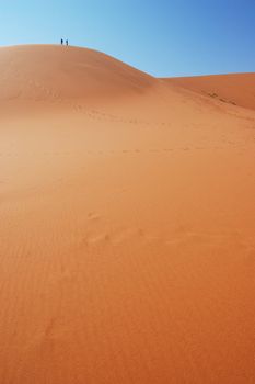 Dune in the Namib Desert, Sossusvlei, Namibia