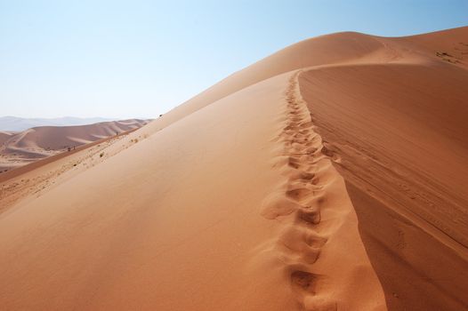 Red dune in the Namib Desert, Sossusvlei, Namibia