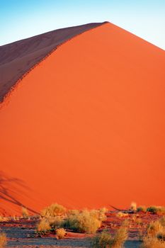 Red dune in the Namib Desert, Sossusvlei, Namibia