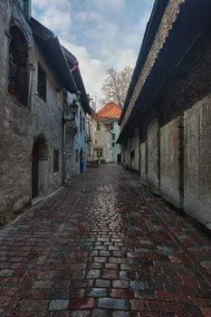 Old Tallinn houses in Katarina street taken in HDR to better show the details in the walls and cobbles