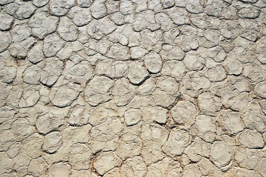 Dry terrain - Lack of water. Namibia, Sossuvlei.