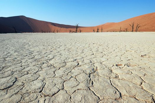 Dry terrain and dune - Lack of water. Namibia, Deadvlei, Sossuvlei.
