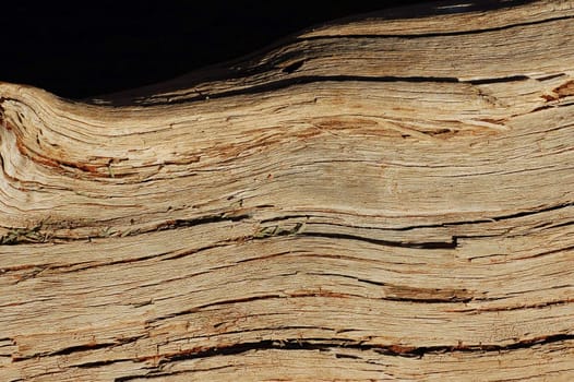 Old wood Background on black