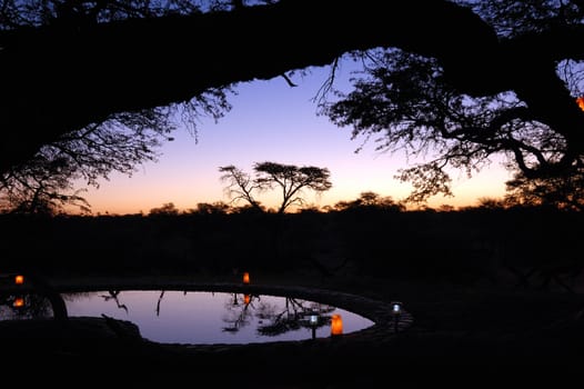 Beautiful african sunset, with swimming pool and acacia tree silhouette.