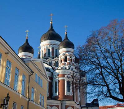 Greek Orthodox cathedral of Alexander Nevsky in Tallinn Estonia over the tops of old houses and bare tree