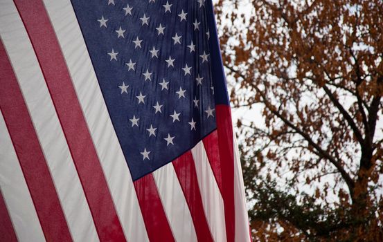 Close up of USA flag with autumn leaves in the background