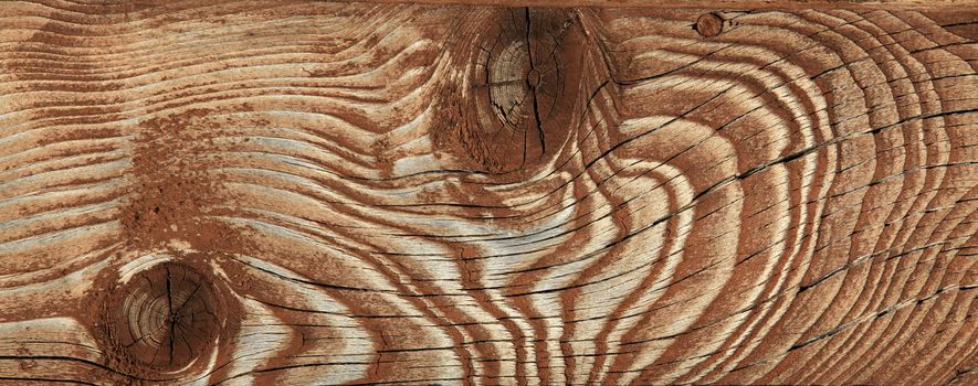 Full screen high resolution shot of wood. Good for a texture or a background