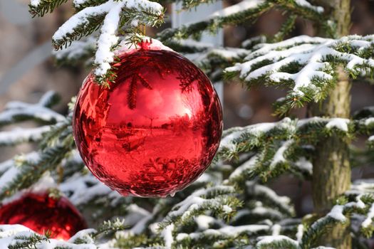 Red Bauble on Christmas Tree with Reflection