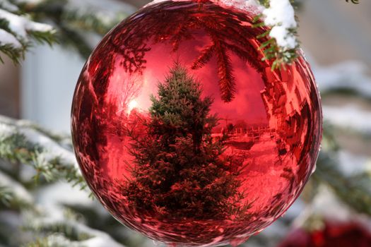 Red Bauble on Christmas Tree with Reflection