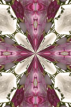 abstract pink pattern