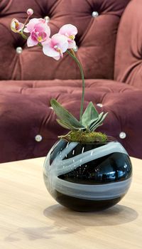 Natural pink orchid in vase on the table. 