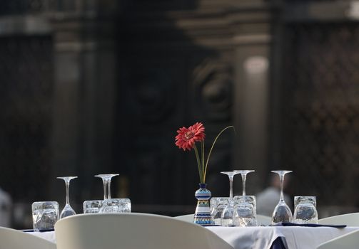 Covered with a table. Outdoor restaurant. Aster in vase