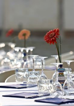 Covered with a table. Outdoor restaurant. Aster in vase