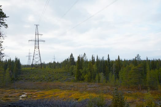 High-voltage line with metal support in forest