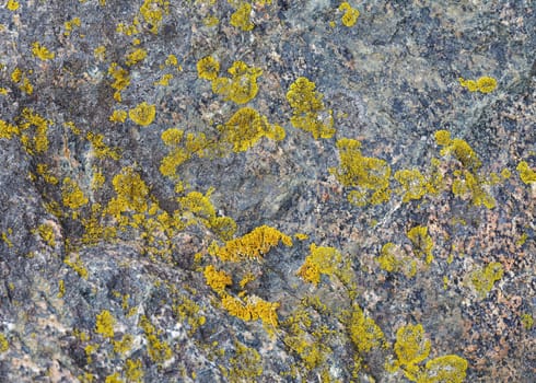 The surface of natural stone with patches of lichen