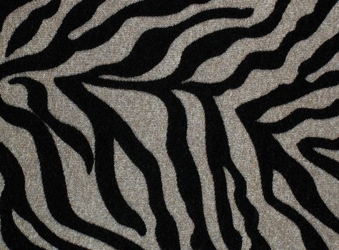 zebra background texture pattern