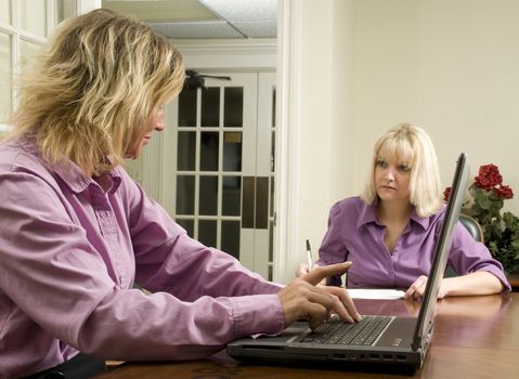 women working together as a team on a project