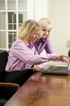 women working together on a project using a laptop