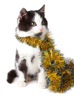 close-up cat with garland, isolated on white