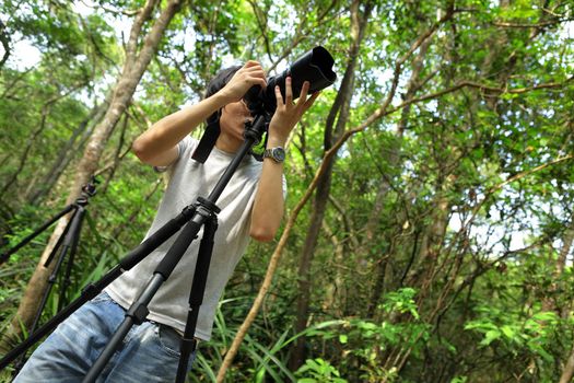 Photographer in forest
