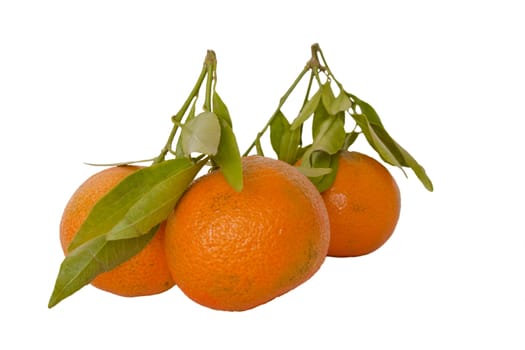 Fresh mandarines isolated over white background