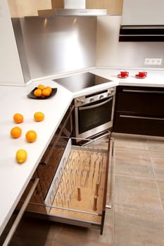 Modern kitchen with the built in home appliances