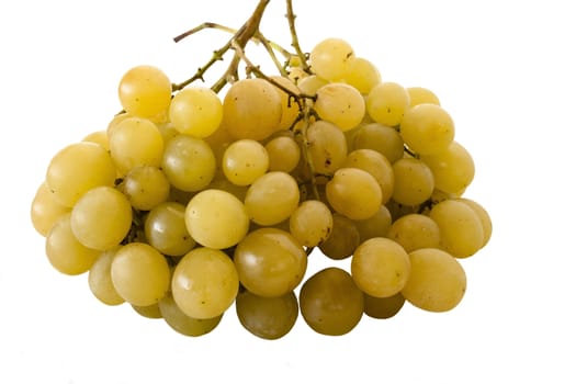 Fresh ripe green grape isolated on white background