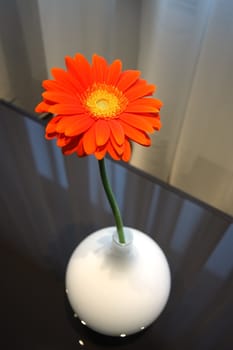 Flower in a vase on a table