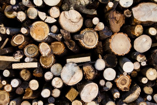 Pieces of wood, useful for background or conceptual