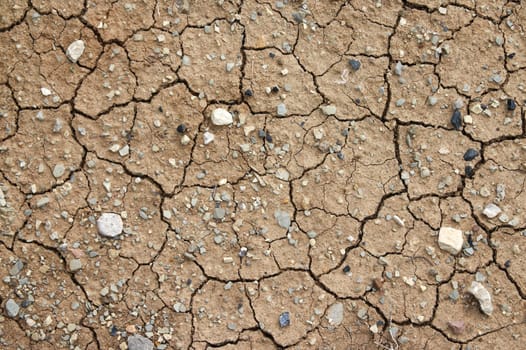 Cracks on the dry earth.