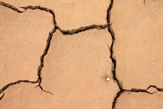 Cracks on the dry earth.
